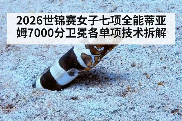 2026世锦赛女子七项全能蒂亚姆7000分卫冕各单项技术拆解